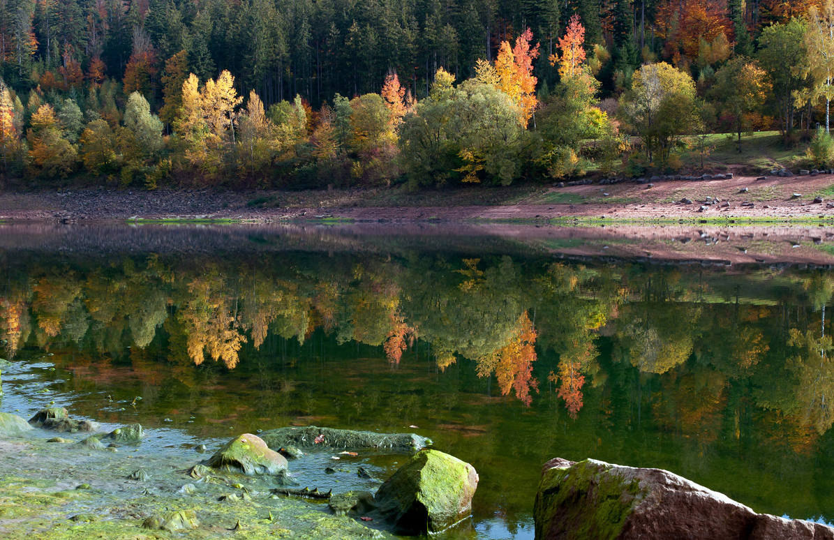 Herbst am See