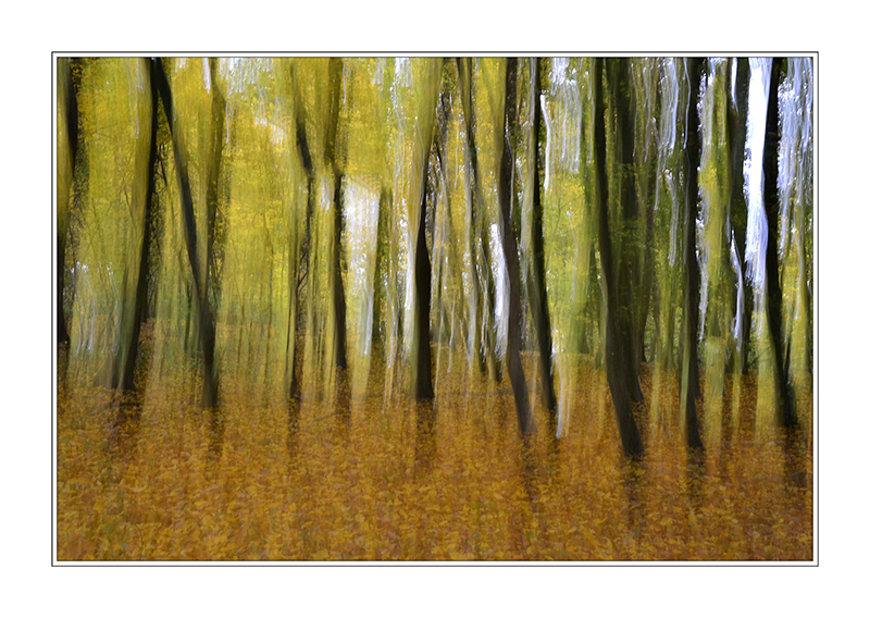 Herbst I