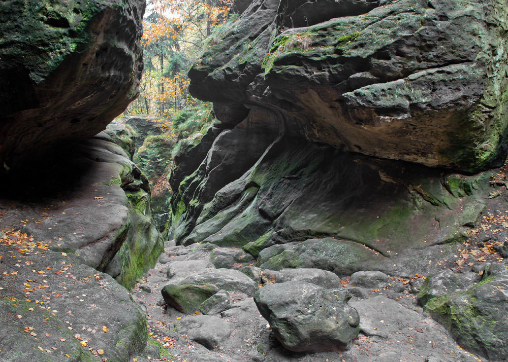 Wilde Hölle im Herbst