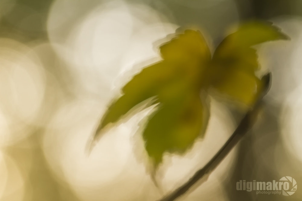 Defokusierter Herbst