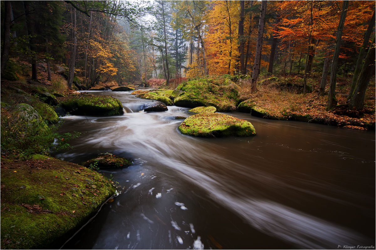 Herbstliche Waldnaab