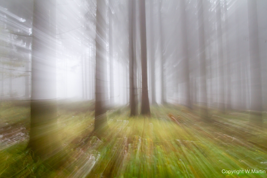 Herbstwald