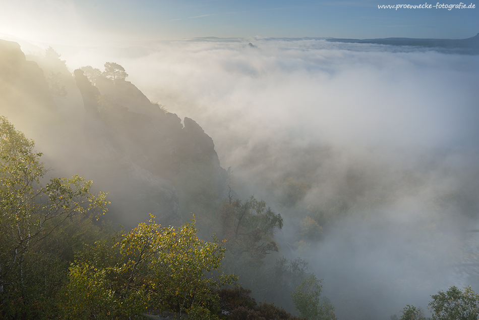 Elbe im Nebel