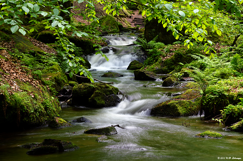 Bachlauf