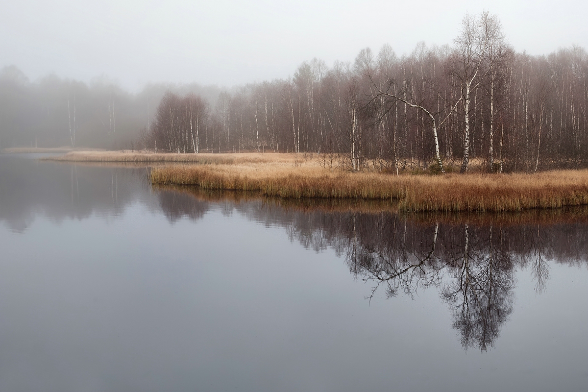 Rotes Moor im Herbstnebel