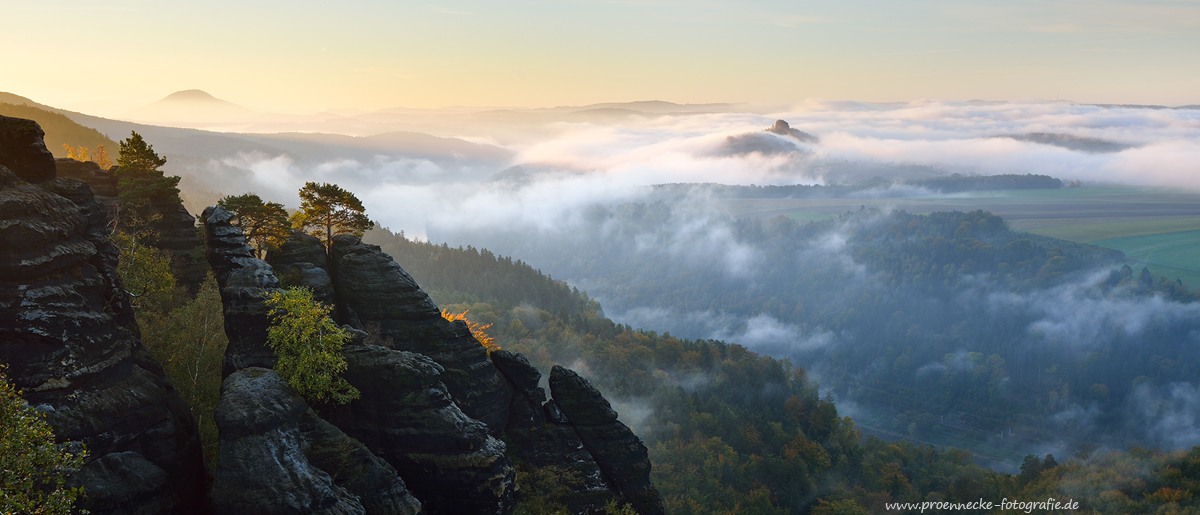 Blick über das Elbtal