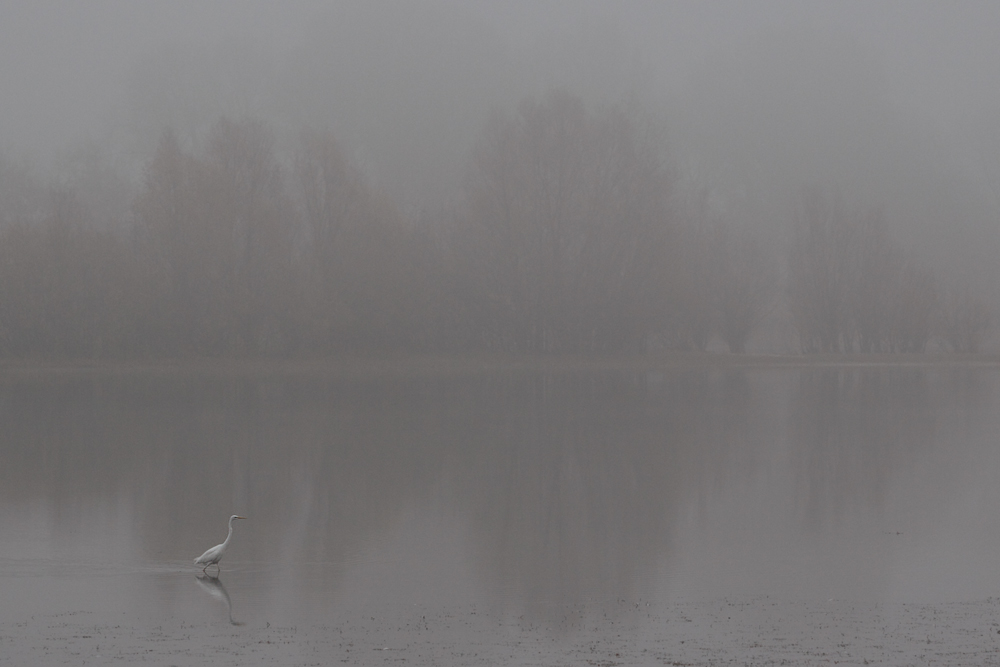 Novemberimpression