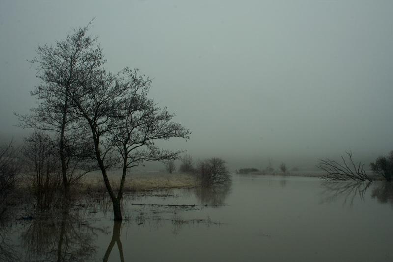 Morgenstimmung an der Altmühl