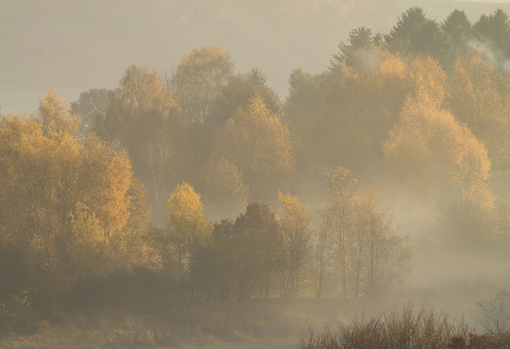 Herbstmorgen