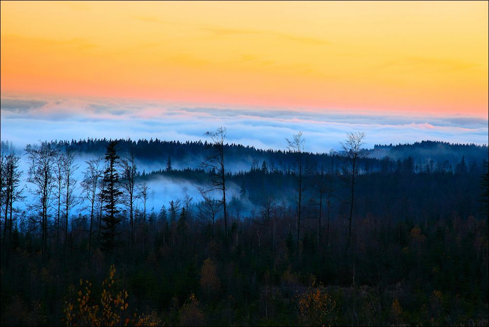 abendstimmung über der nebelgrenze..