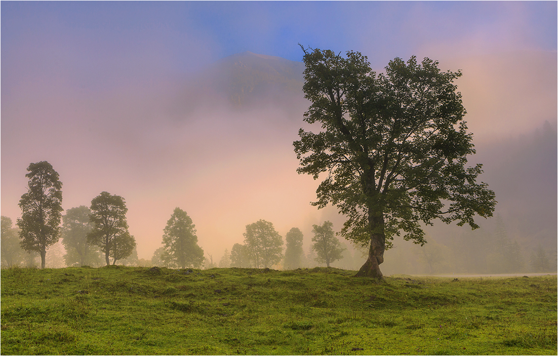 Morgennebel im großen Ahornboden...