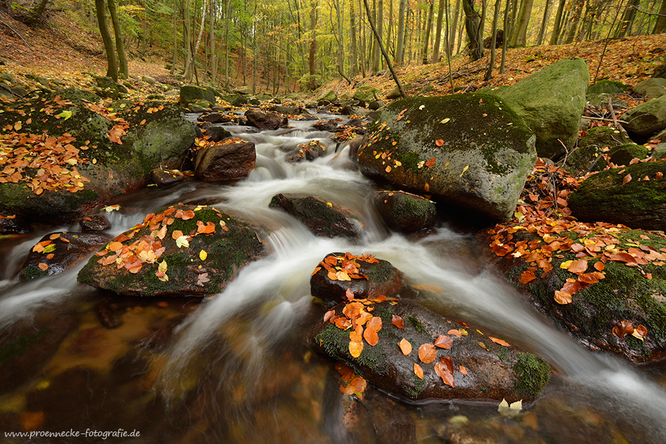 Isle im Herbst