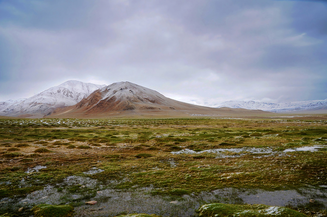 Ladakh-Changthang