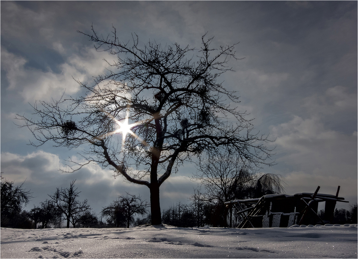 ....noël naturel...