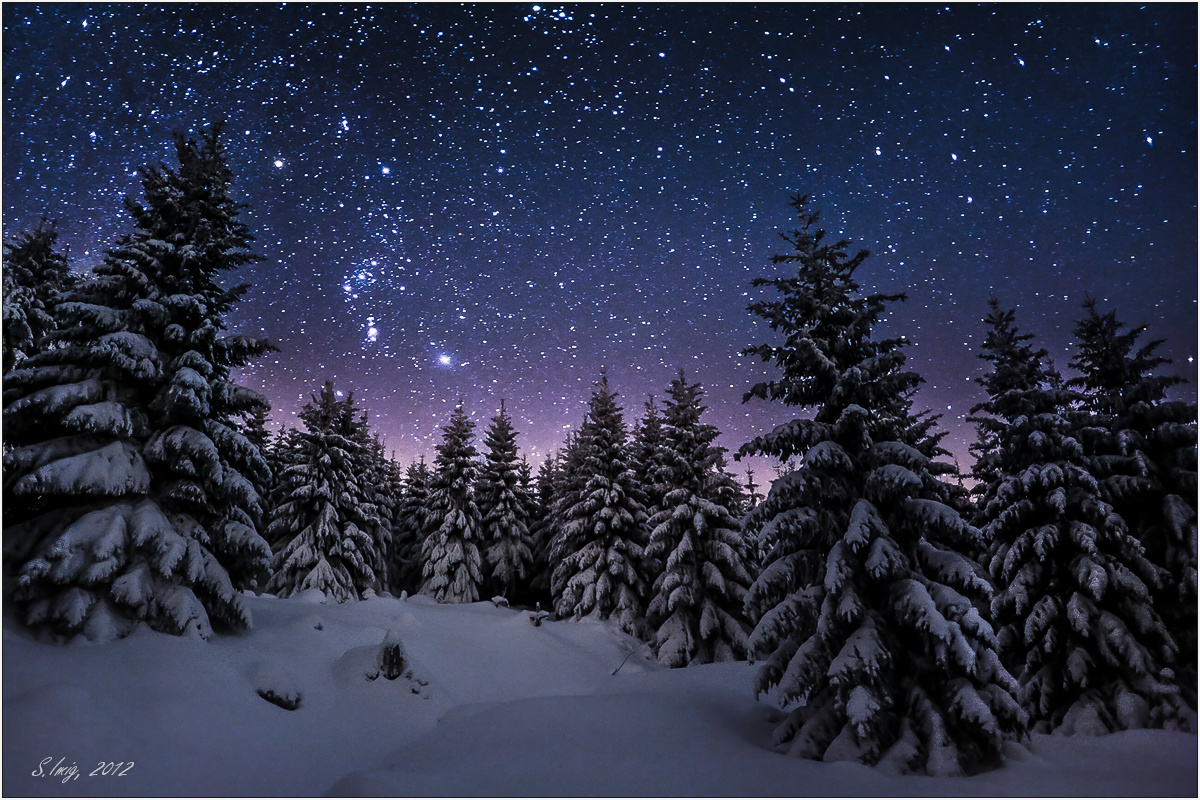 Stille Nacht, (Forum für Naturfotografen)