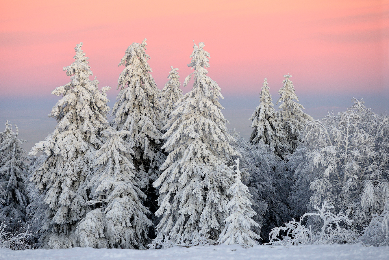 und noch mehr Schnee