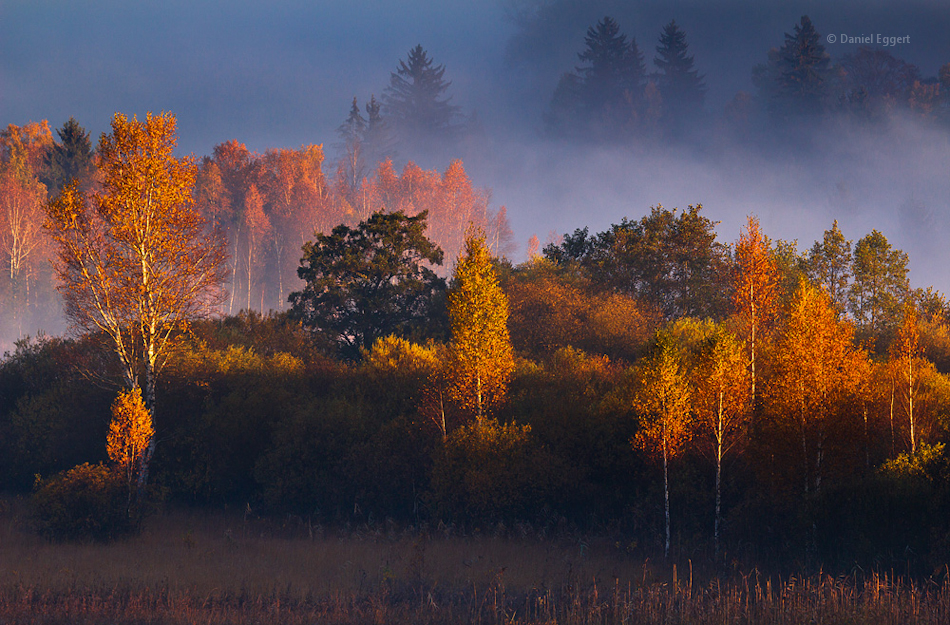 Goldener Morgen