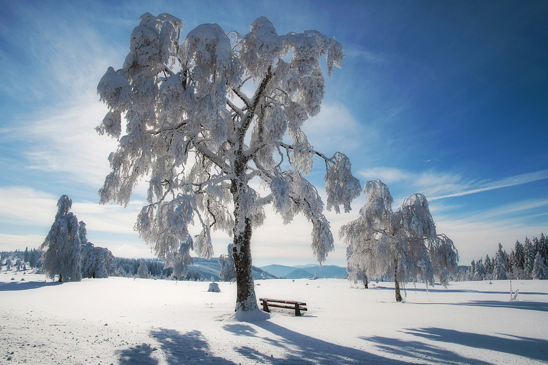 Winterlandschaft (Forum für Naturfotografen)