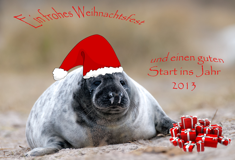 Weihnachtsgrüße