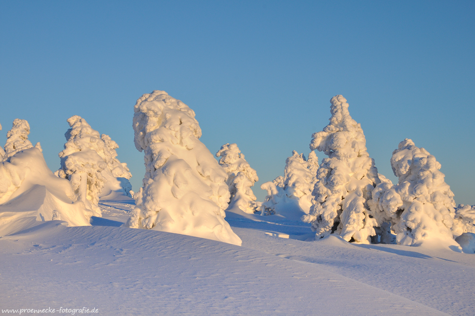 Ein wenig Winter...