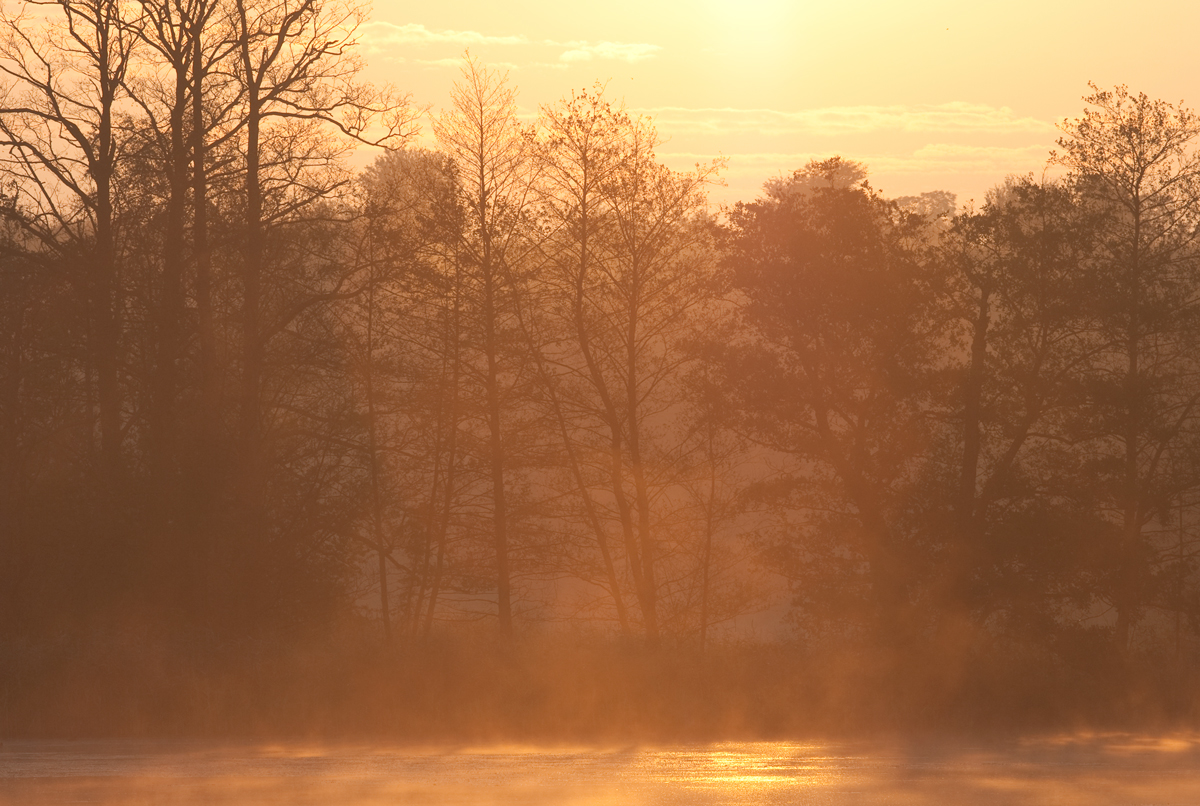 Morgenstimmung am Köppchensee...