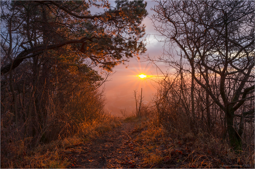 Der Sonne entgegen