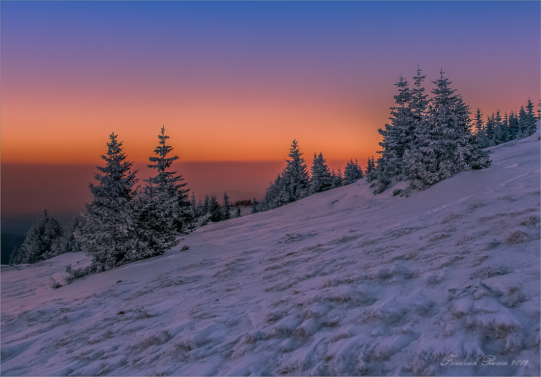 Winterland