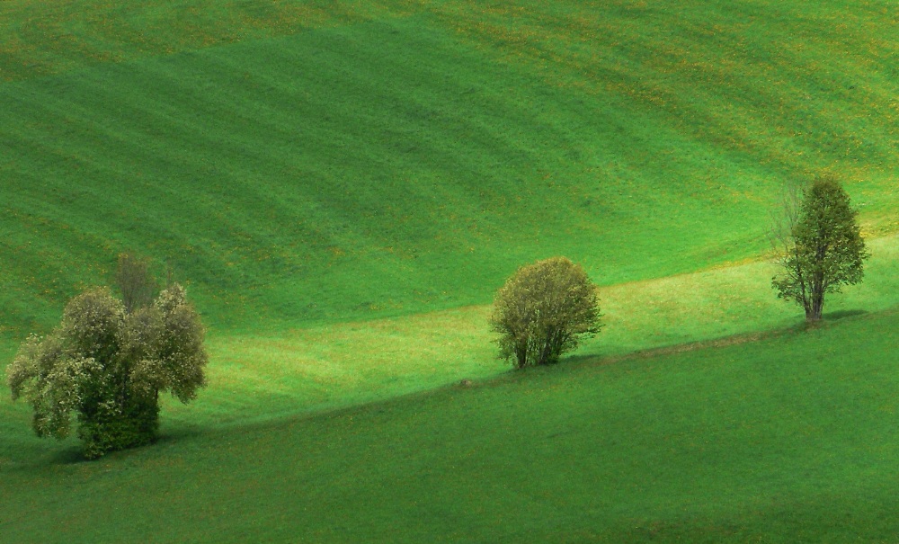 Frühling in der Steiermark