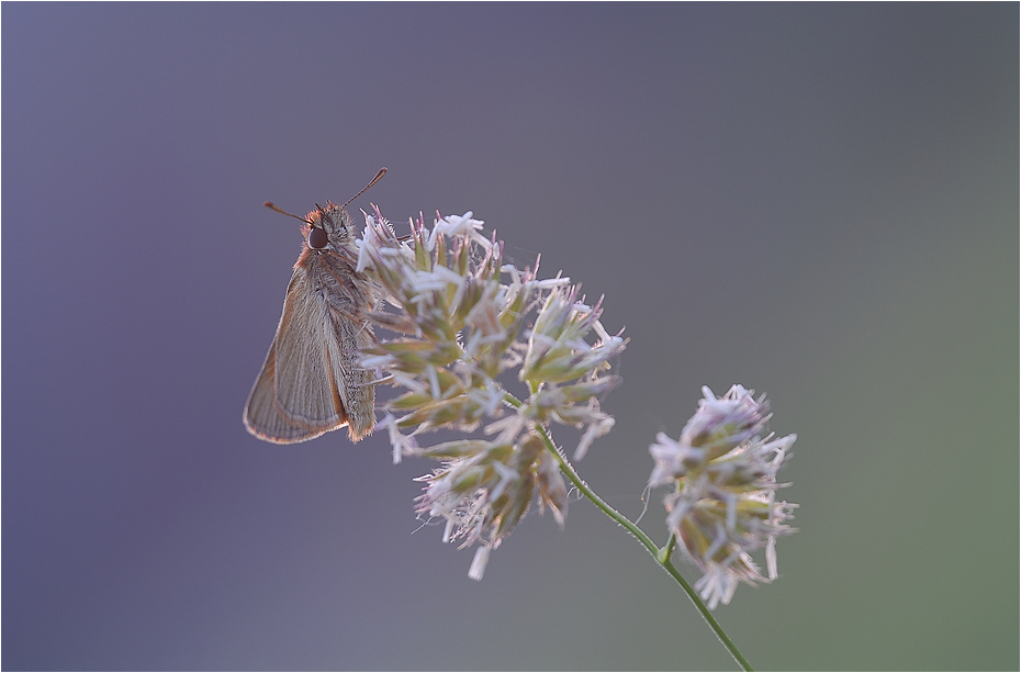 Licht und Farben