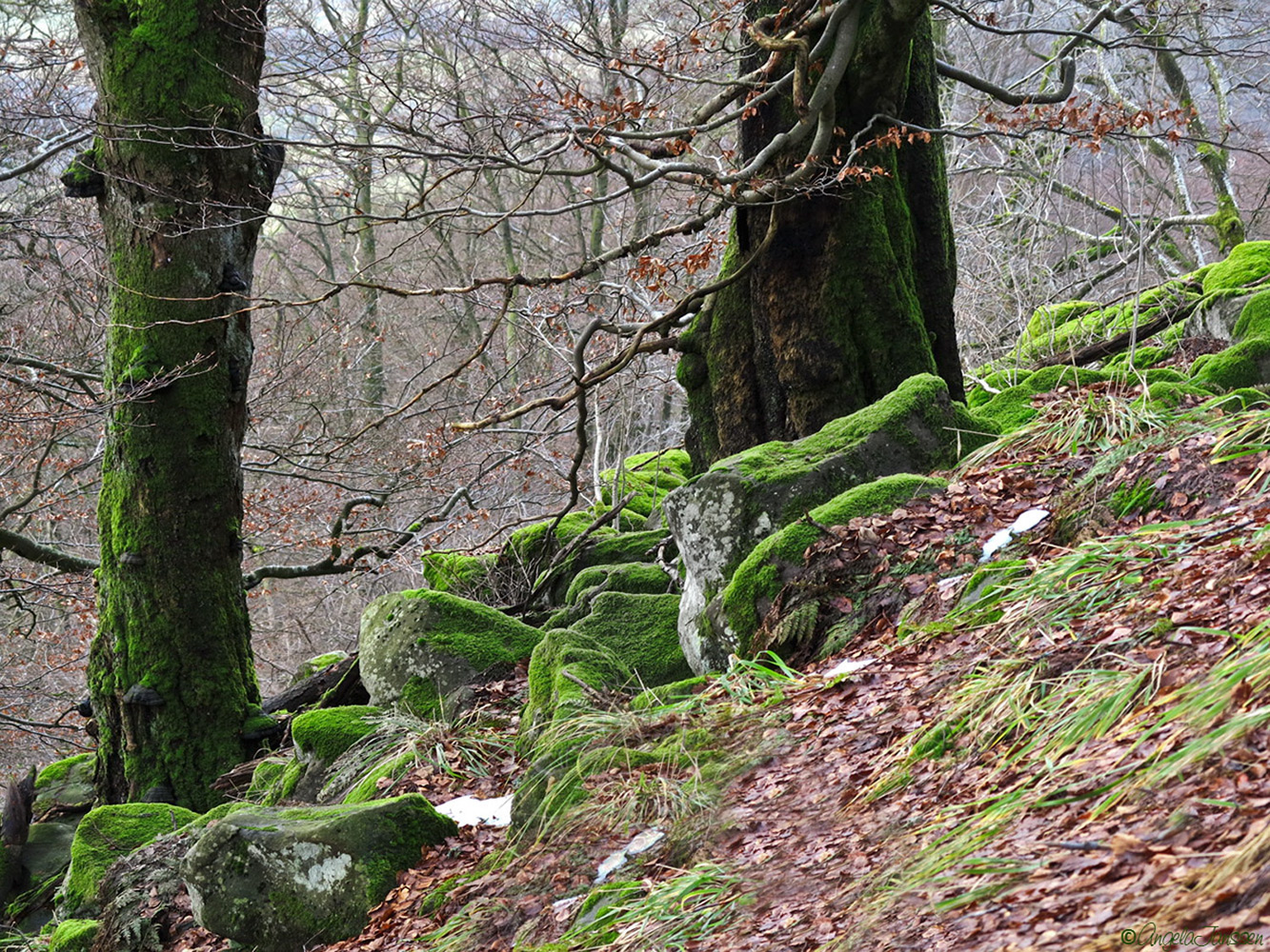 Während 1 Woche in der Rhön