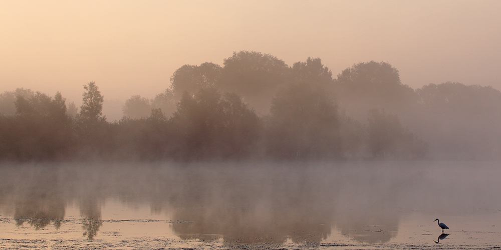 Herbstmorgen