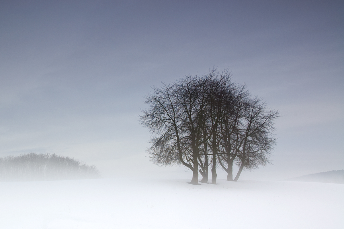 Leichter Nebel am Morgen