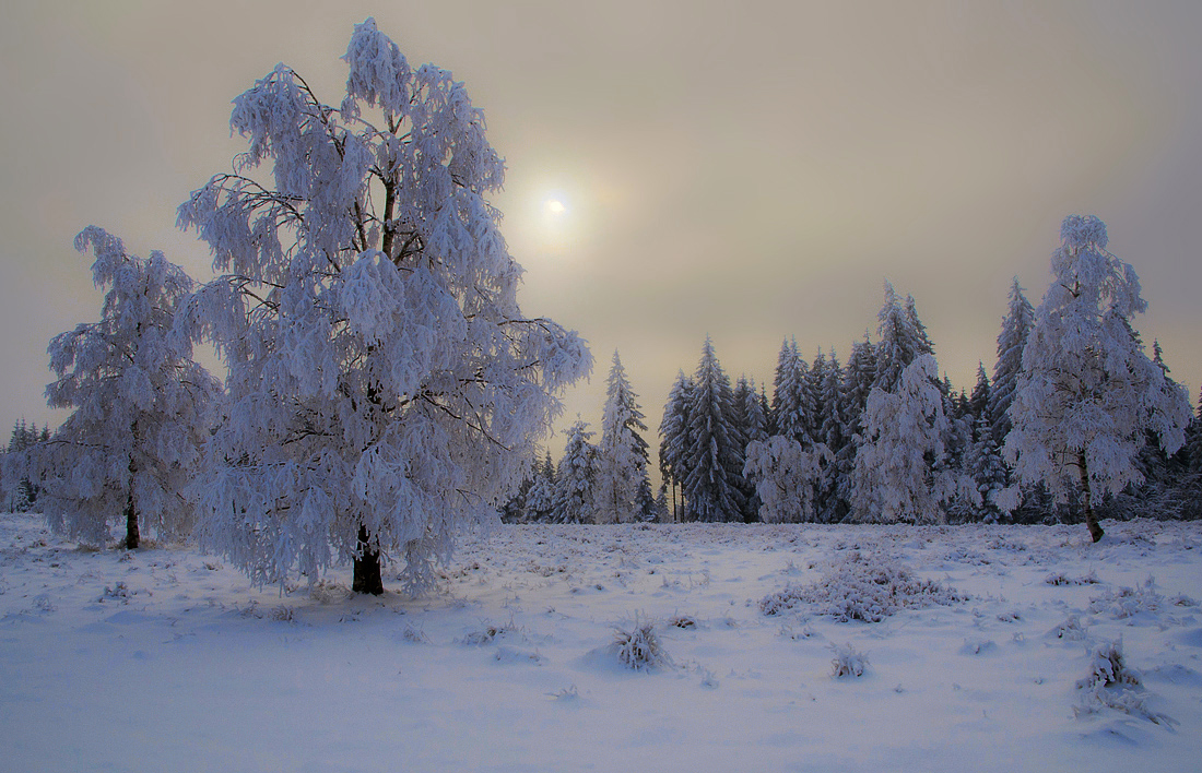 Winterlandschaft