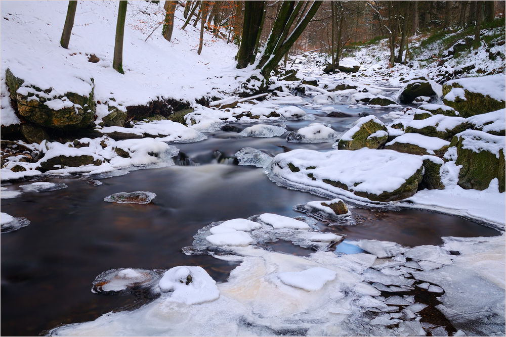 ~ Winter in den Ardennen ~