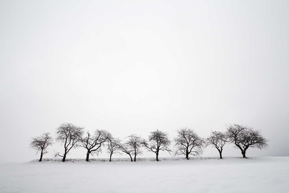 Winterland