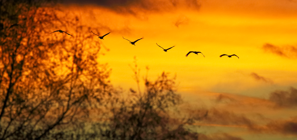 ~wenn der Himmel brennt~  III