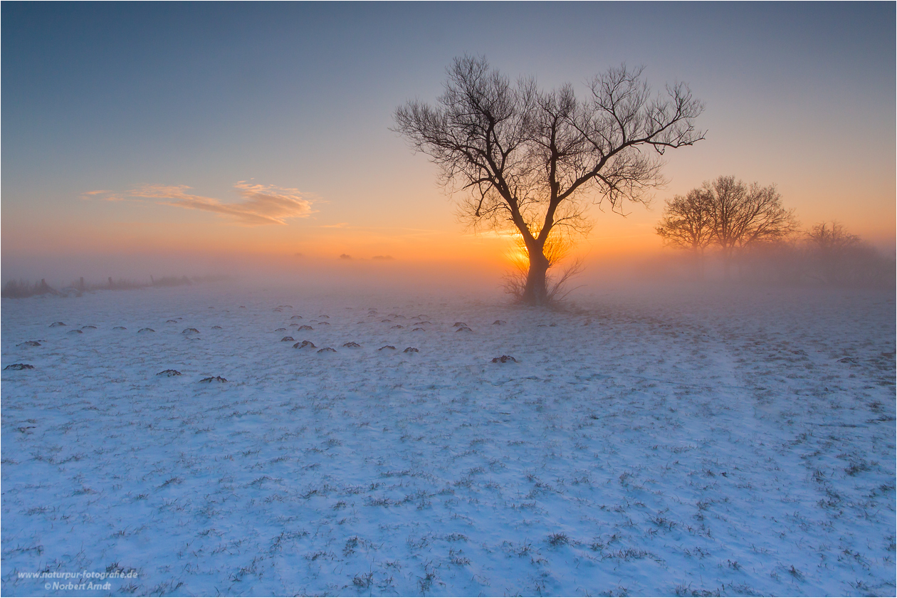 Wintermorgen