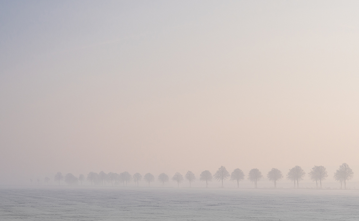 Wintermorgen