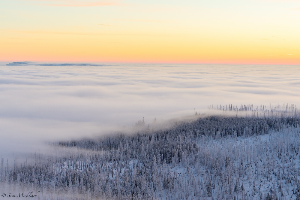 Blick vom Lusen