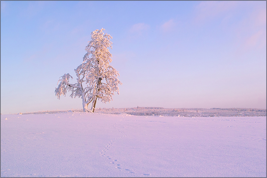 Winterabend am Erzgebirgskamm