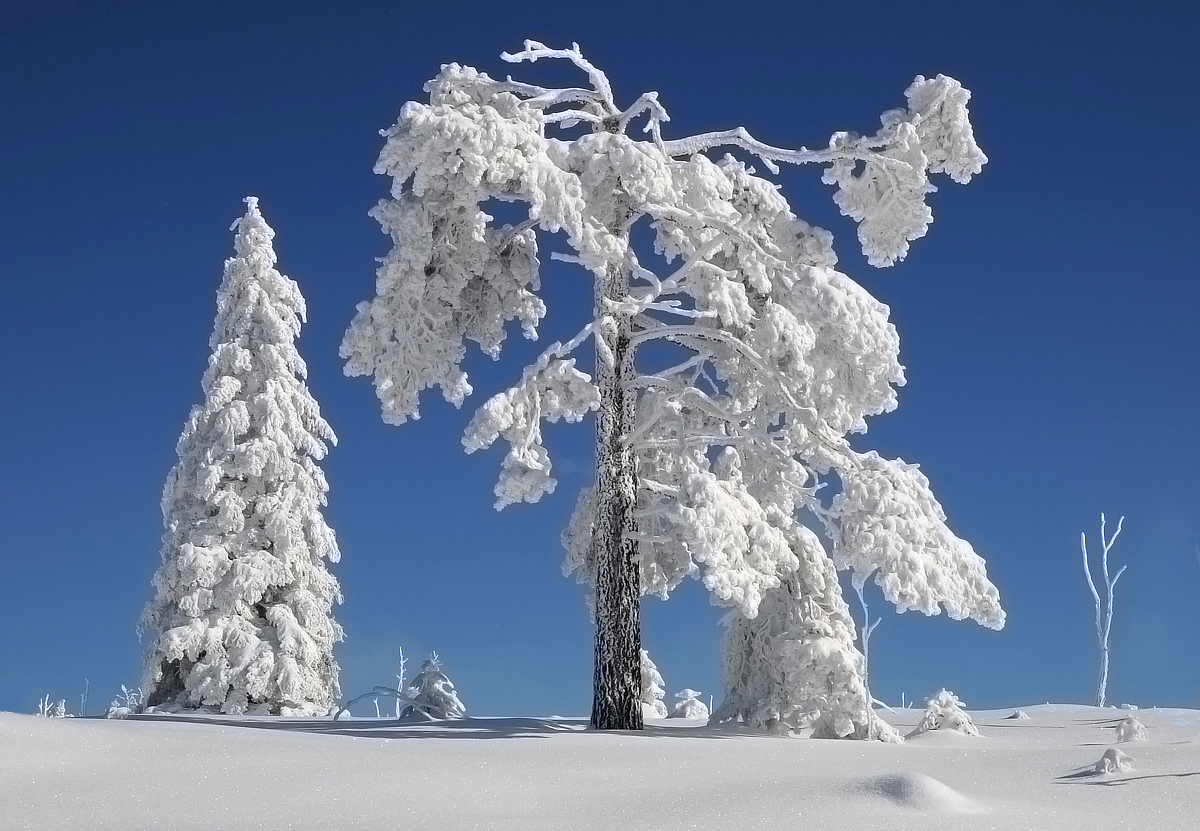 Blau-Weiss