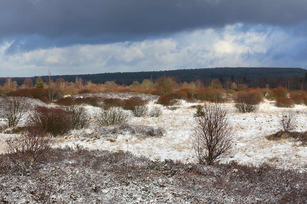 Vor dem grossen Schnee...