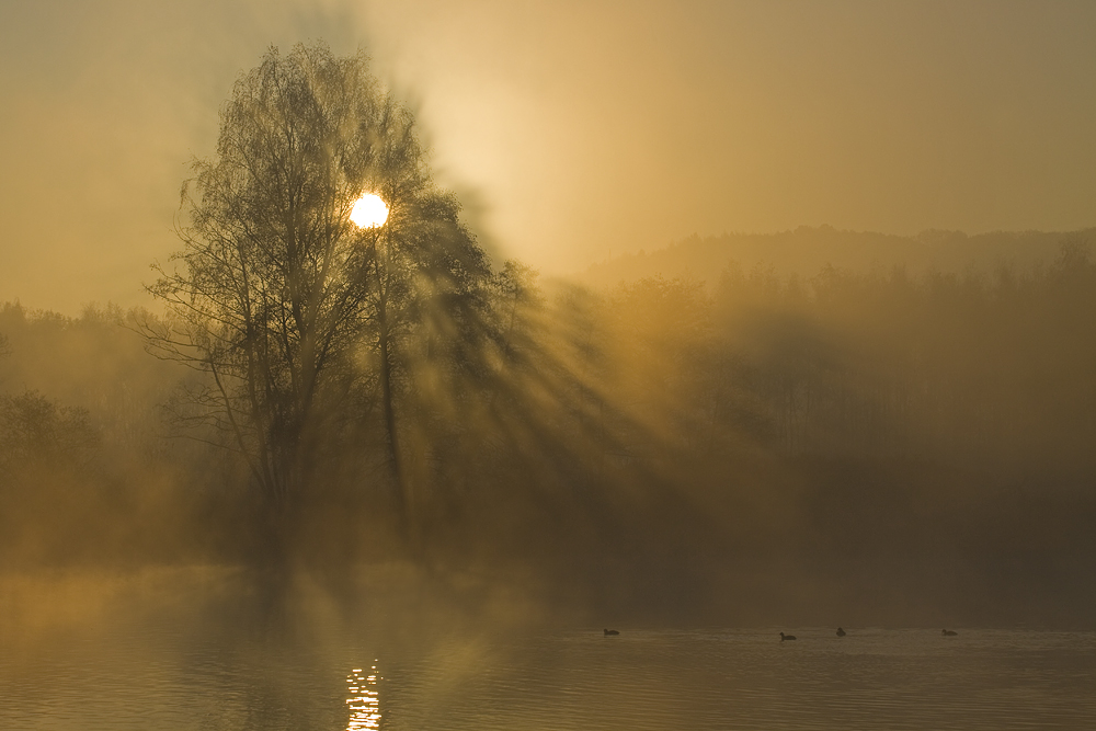 Noch "ein Morgen an der Ruhr"