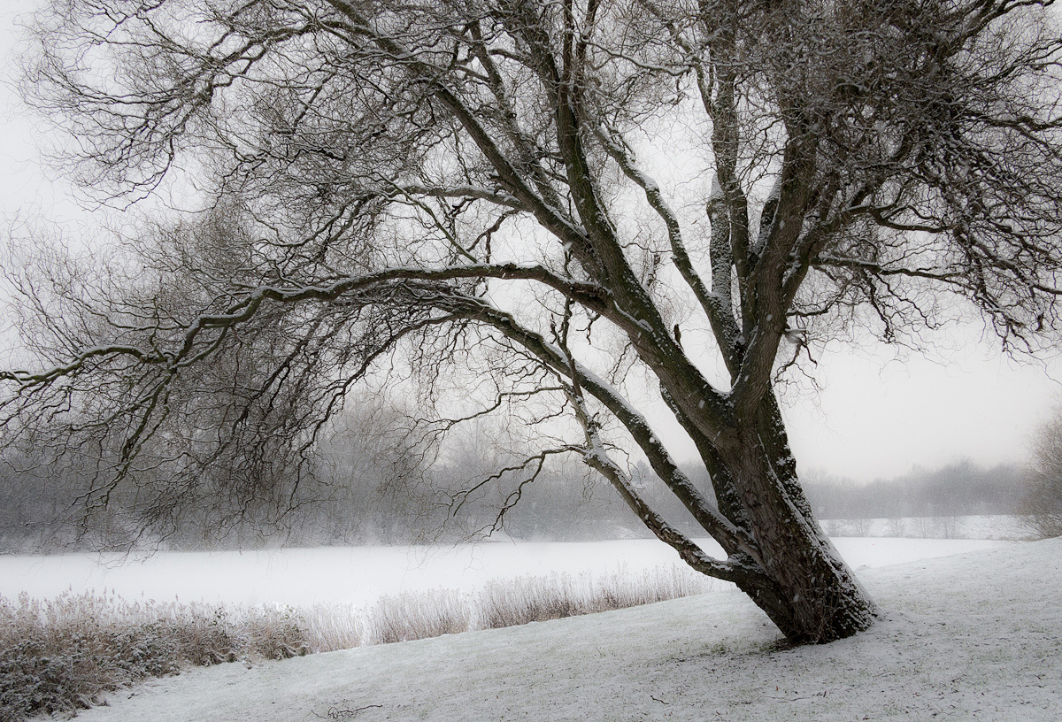 Ist so kalt der Winter...