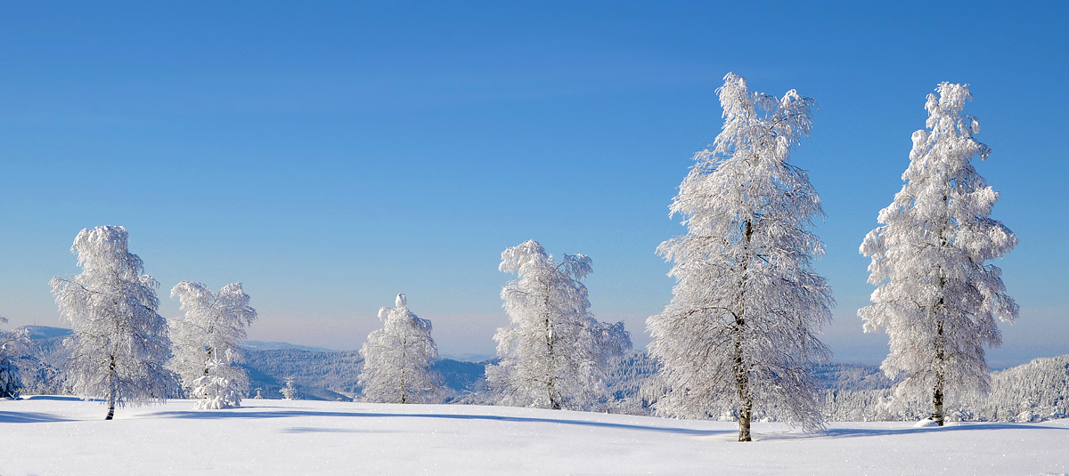 Winterpanorama