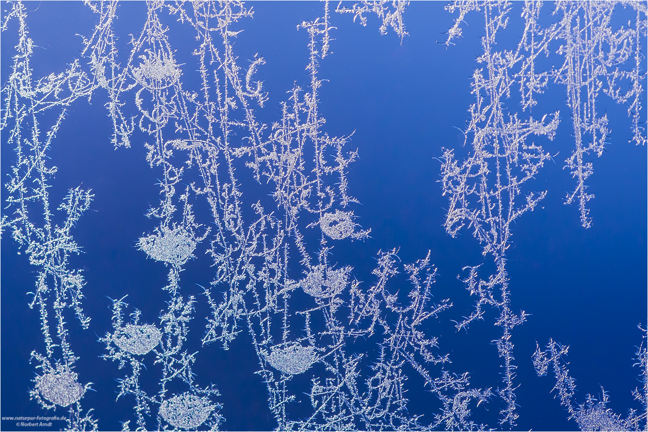 Winter-Gardine