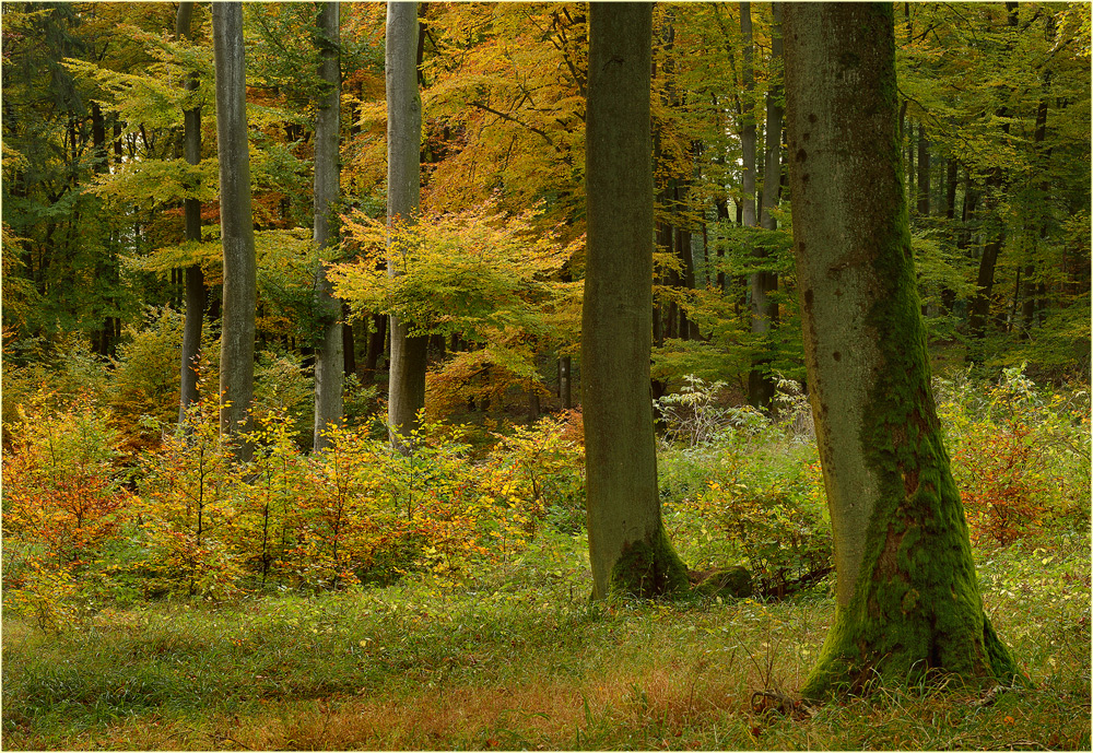 Dicke/Dünne/Große/Kleine