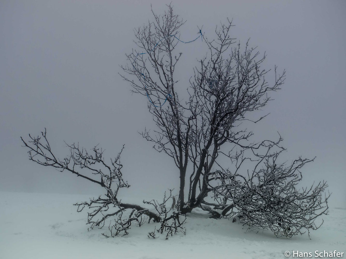 Taunus Feldberg im Nebel