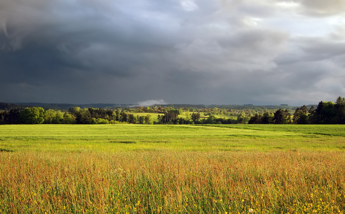 Landschaft im Abendlicht
