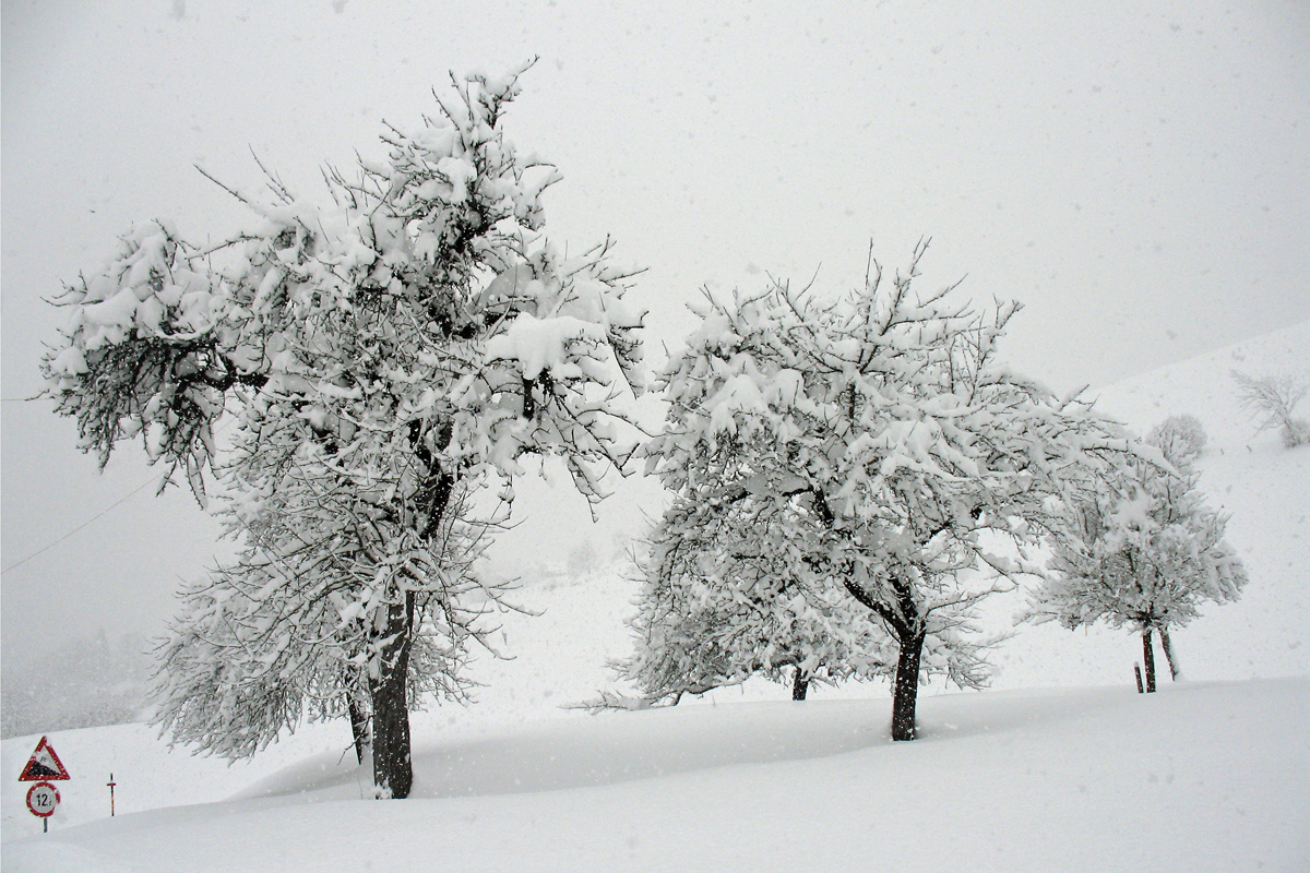 Wanderung bei Schneefall